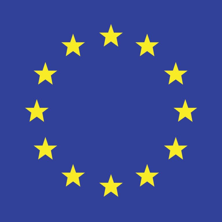 Illustration of European Union flag